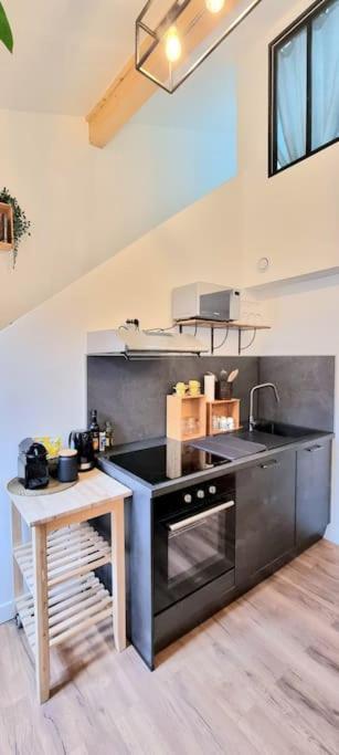 Le Duplex Catherine - Metro - Gare - Wifi Toulouse Exterior photo