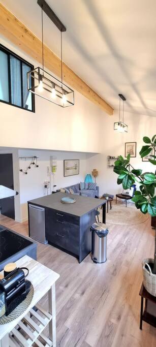 Le Duplex Catherine - Metro - Gare - Wifi Toulouse Exterior photo